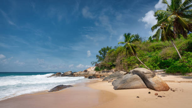 Seychelles Beach Panorama Anse Machabee Beach Mahe Island