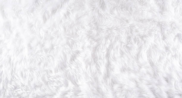 istock Winter cozy background made from wool carpet, Top view with copy space. 1288950318