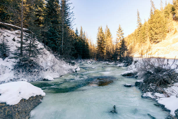 быстрый поток реки среди гор и сосен. красивый зимний пейзаж. кристально чистая вода в реке. - ice crystal landscape rapid river стоковые фото и изображения