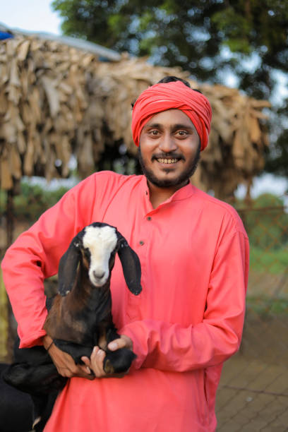 istock Indian farmer in goat dairy farm 1288953594