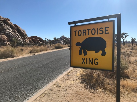 Joshua Tree National Park, California, USA - October 27, 2020. Desert Tortoise Crossing Sign when driving through Joshua Tree National Park.
