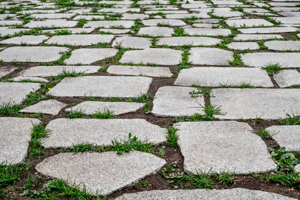 istock Gray stone pavement with green grass between stones in perspective. 1288953655
