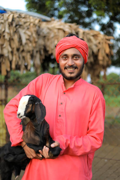 istock Indian farmer in goat dairy farm 1288953736