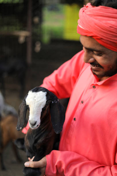 istock Indian farmer in goat dairy farm 1288953793