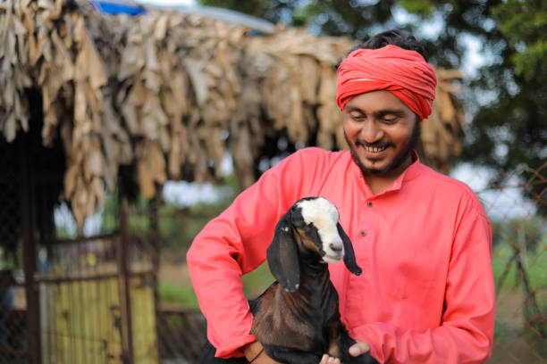 istock Indian farmer in goat dairy farm 1288953889