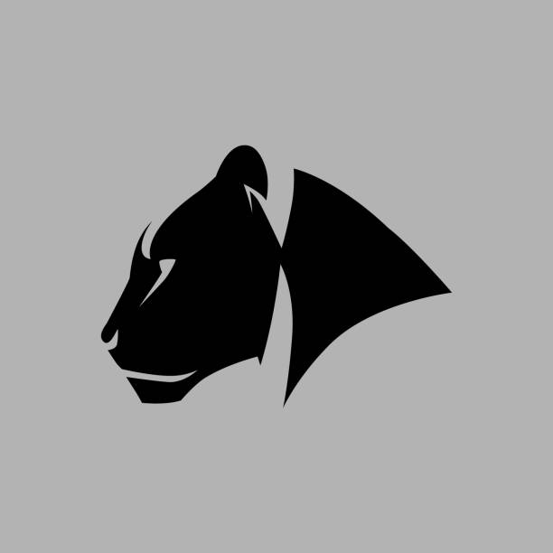 Black panther symbol on gray backdrop Black panther portrait side view symbol on gray backdrop. Design element panthers stock illustrations