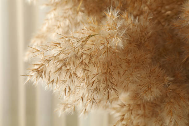 istock Beautiful field flowers, close up and selective focus 1288958618