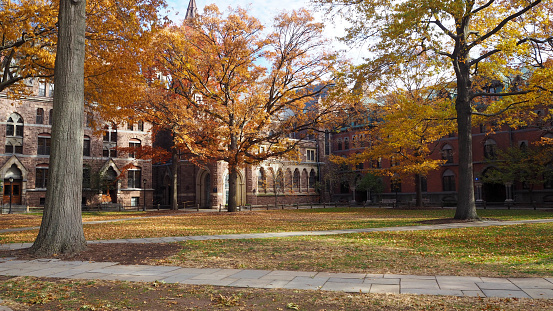 yale university and autumn foliage, New haven, Connecticut, United States
