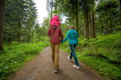 Rear view of mid Adult man carrying his daughter on shoulders while walking with his wife in forest.