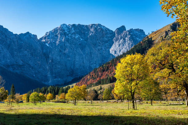 istock maple trees at Ahornboden, Karwendel mountains, Tyrol, Austria 1288963332