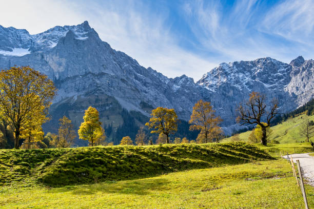 istock maple trees at Ahornboden, Karwendel mountains, Tyrol, Austria 1288963391