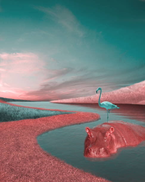 istock Imaginary landscape, surreal lake front, sunset colors and colored grass, complementary color, blue and pink, cloudy sky and calm water, relax concept idea, blue flamingo, pink hippo 1288966053