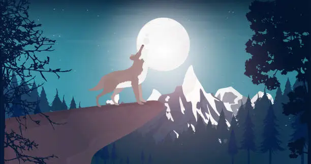 Vector illustration of Wolf howls at the moon. Howling wolf on the edge of a cliff. Night forest with a big moon. Full moon. Vector illustration.