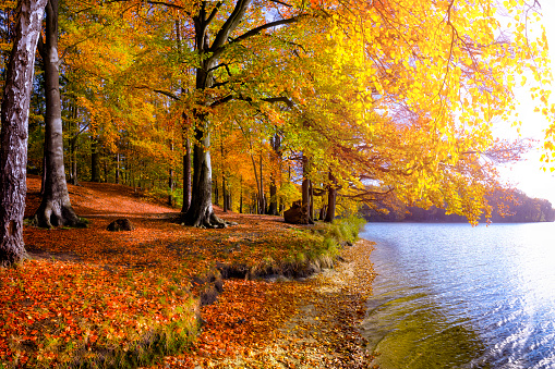 Vacations in Poland - sunny autumn day at the Jeziorak lake in Masuria, land of a thousand lakes