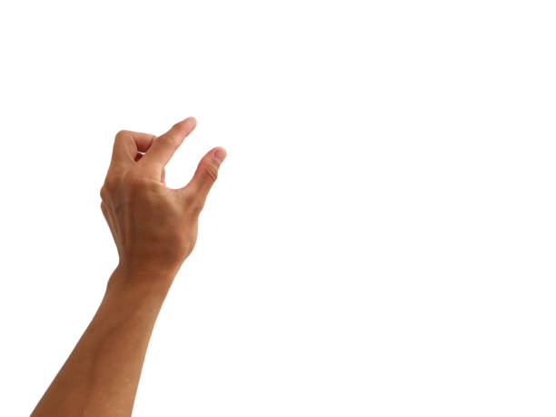 istock show hand up is in gesture of take,touch,press on white background 1288972258