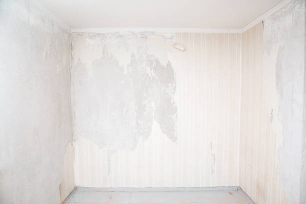 밝은 오래된 반벽지가 찢어진 빈 방. 가정 수리 작업의 시작. - teared 뉴스 사진 이미지