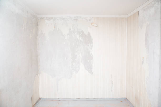 istock Empty room with light old half teared off wallpaper. Beginning of home repair work. 1288974501