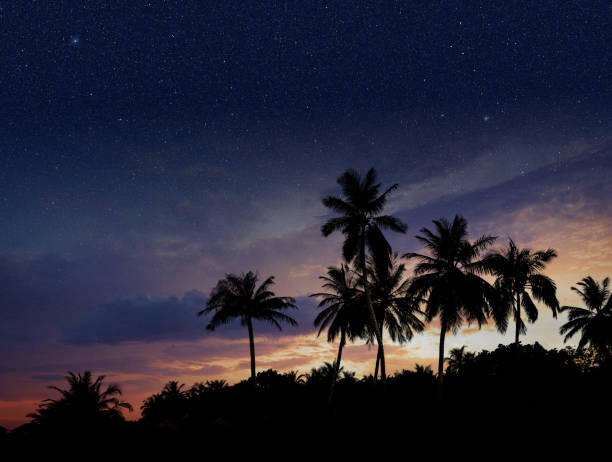 istock Twilight at the Maldives 1288974683