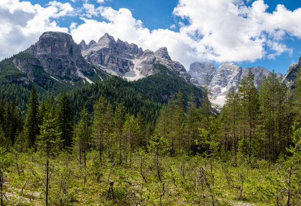istock Tre Cime Natural Park, Dolomites, Italy. 1288974880