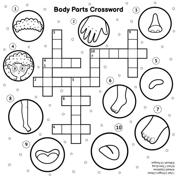 Black and white body parts crossword with hair, nose, fingers, head, eyebrow, foot, toes, mouth, tongue Black and white body parts crossword with hair, nose, fingers, head, eyebrow, foot, toes, mouth, tongue. My body learning activity and coloring page. Puzzle for kids. Vector illustration crossword puzzle drawing stock illustrations