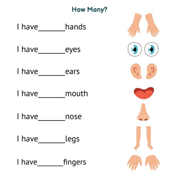 How Many Hands Eyes Ears Legs And Etc Do You Have Funny Worksheet With Body  Parts For Kids Stock Illustration - Download Image Now - iStock