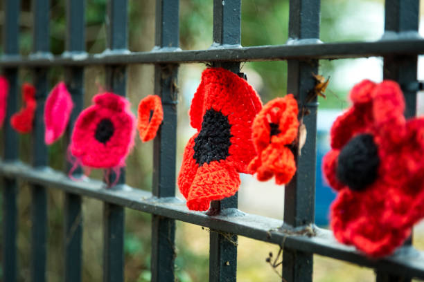 istock Knitted red poppies on a fence for remembrance day 1288978357