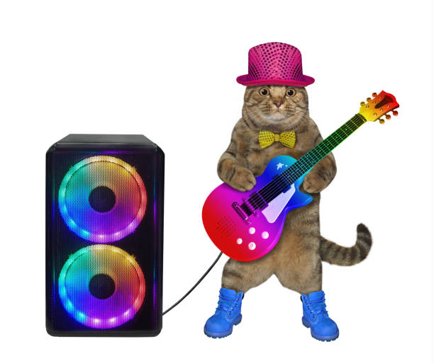 istock Cat guitar player at loudspeaker 2 1288981219