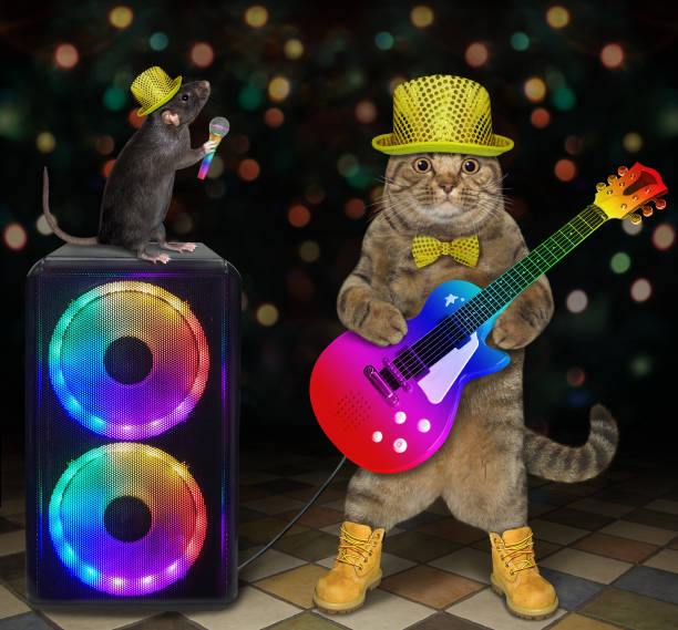 istock Cat guitar player in nightclub 2 1288981220