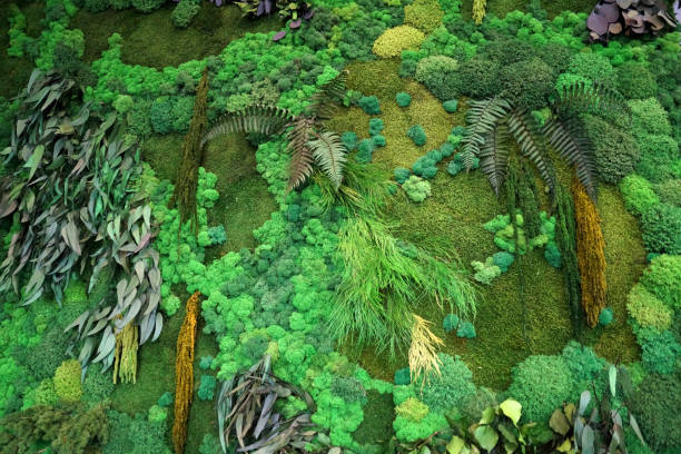 istock a fragment of green phytowall from stabilized plants with moss 1288981675