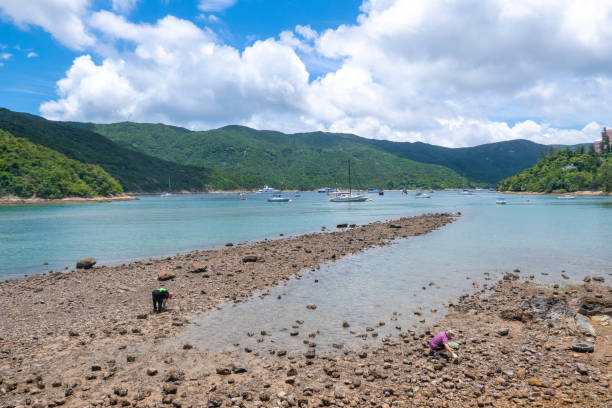 istock Coast landscape in summer 1288982488