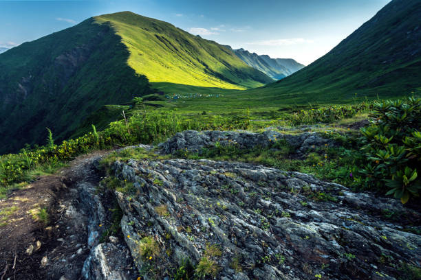 Green valley in the mountains