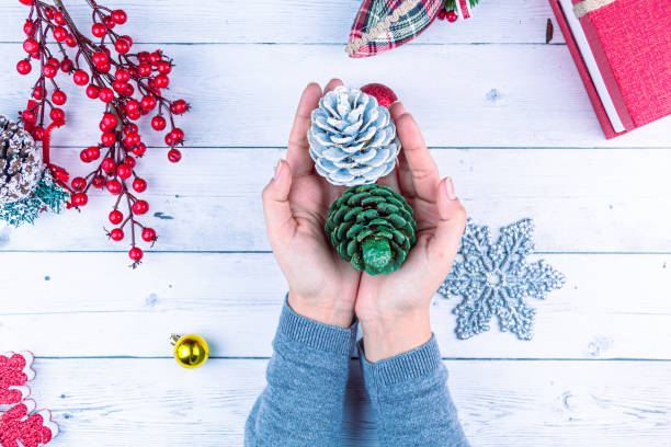 new year background! bright Christmas decorations on the whiteboard and hands holding a green and white cones in it, above a red new year flower stock photo