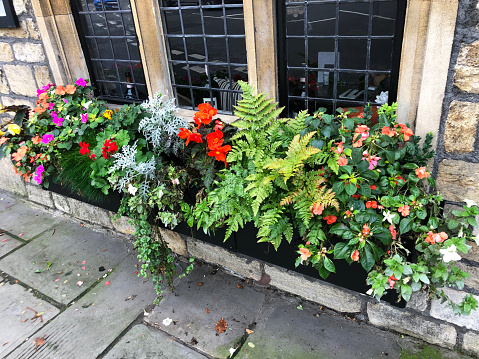 Photo showing a beautiful window box packed with flowering plants, on the windowsill of a grand Georgian-style house with large Bath stone bricks.