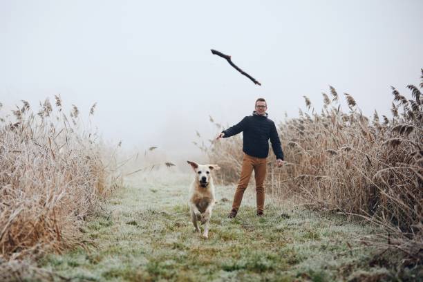 istock Man throwing stick for his dog in autumn nature 1288988713