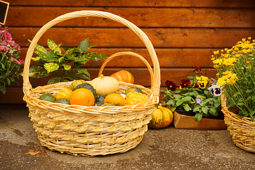 Close up view of a basket with assorted pumpkins, at a farm market.