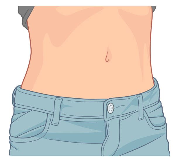 Beautiful woman belly Slim young woman belly vector illustration. female navel stock illustrations