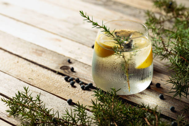 istock Alcohol drink (gin tonic cocktail) with lemon, juniper branch, and ice on rustic wooden table. 1289000484