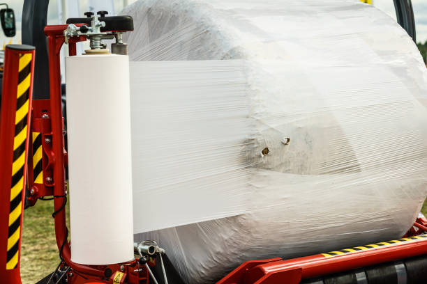 istock Bale of hay wrapped in plastic foil 1289000659