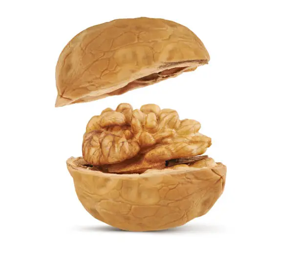 opened Walnut isolated on white background with clipping path