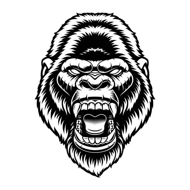 Vector illustration of A black and white vector illustration of a gorilla head