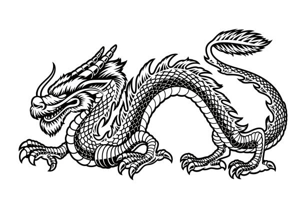 A black and white vector illustration of a Chinese dragon A black and white vector illustration of a Chinese dragon, isolated on white background. asian tattoos stock illustrations