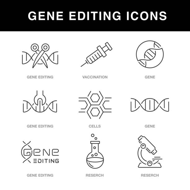 ilustraciones, imágenes clip art, dibujos animados e iconos de stock de iconos de ingeniería génica configurados con una carrera editable - conjugation