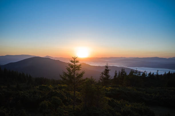 istock Red sunrise in the mountains, view troutgh trees 1289003735