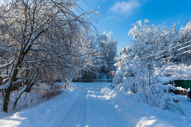 istock Beautiful winter landscape after a heavy snowfall, Russia 1289010423