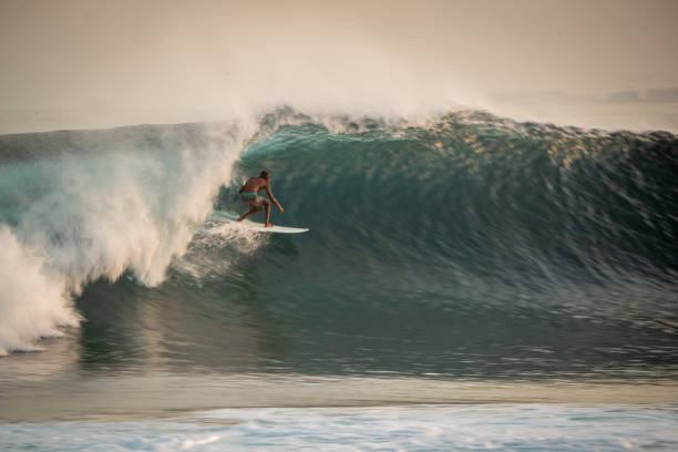 istock Maldivian Surfer in beautiful light 1289010941