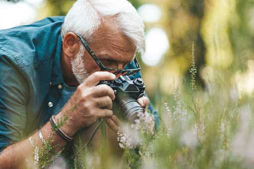 A keen gray-haired man photographs flowers in the garden. Hobby grandfather on summer vacation.