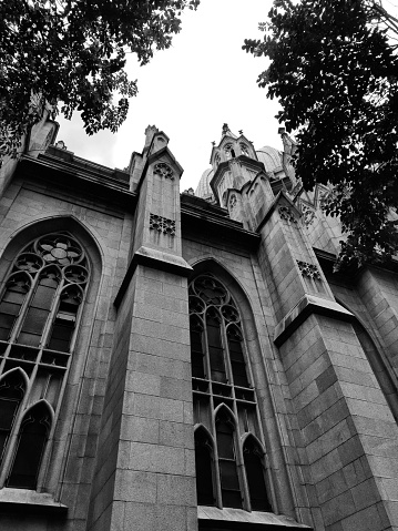 Detail of the neo-Gothic architecture of the Sé cathedral in the city center of São Paulo in Brazil