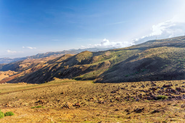 landschaft des bale mountain, äthiopien wildnis - sunrise tranquil scene blue plateau stock-fotos und bilder