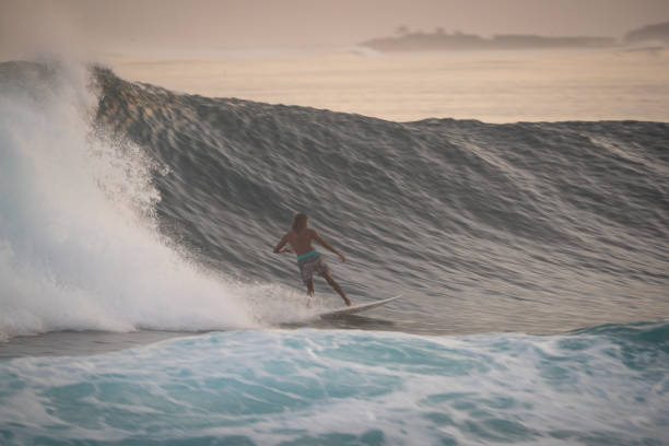istock Surfer with island in the background 1289013618