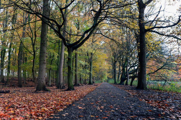 Landscape view in the Bloesempark, Amstelveen during the autumn